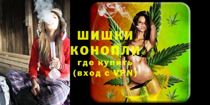 купить наркотики цена  Бабушкин  Конопля SATIVA & INDICA 